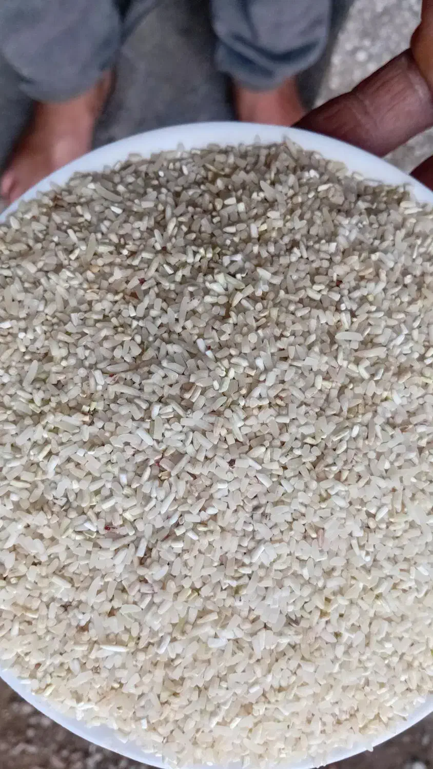 نیم دانه فجر|خوردنی و آشامیدنی|خان ببین, |دیوار