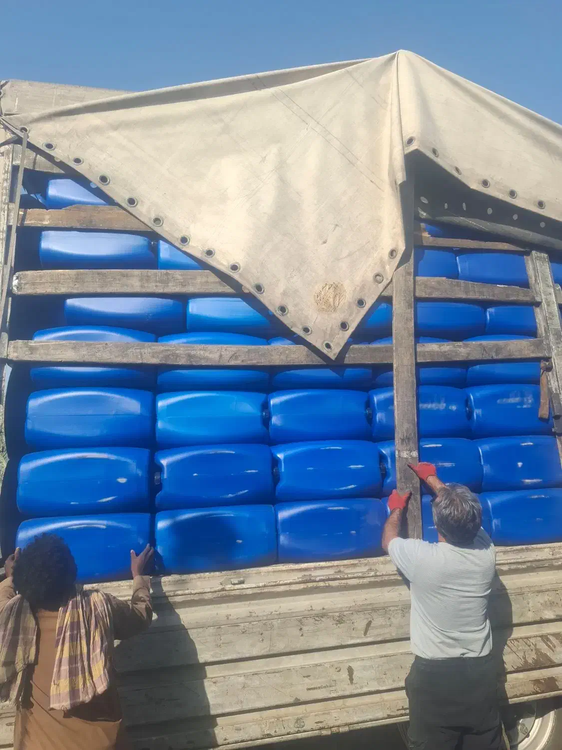 فروشی|ظروف نگهدارنده، پلاستیکی، یکبارمصرف|چابهار, |دیوار