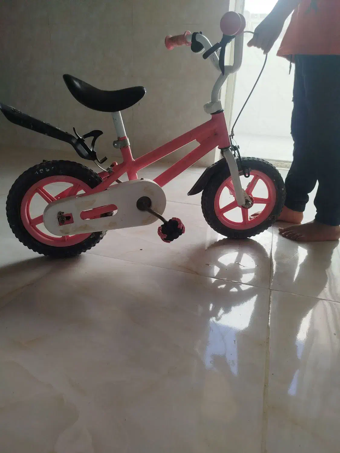 دوچرخه۱۲|دوچرخه، اسکیت، اسکوتر|شوش, |دیوار