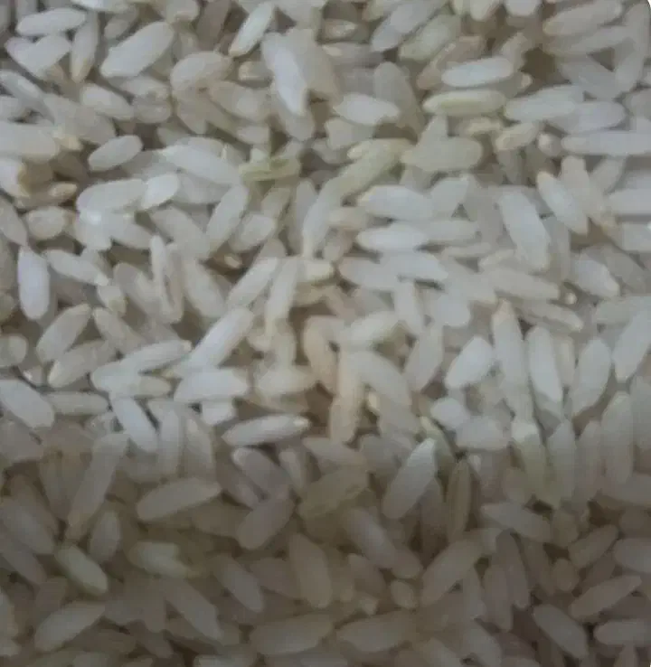 برنج چمپا و خورده برنج و نیم قد|خوردنی و آشامیدنی|مبارکه, |دیوار