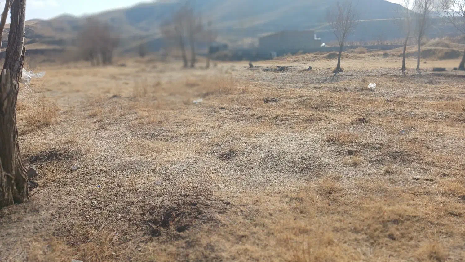 زمین بستان آباد|فروش زمین و ملک کلنگی|بستان آباد, |دیوار