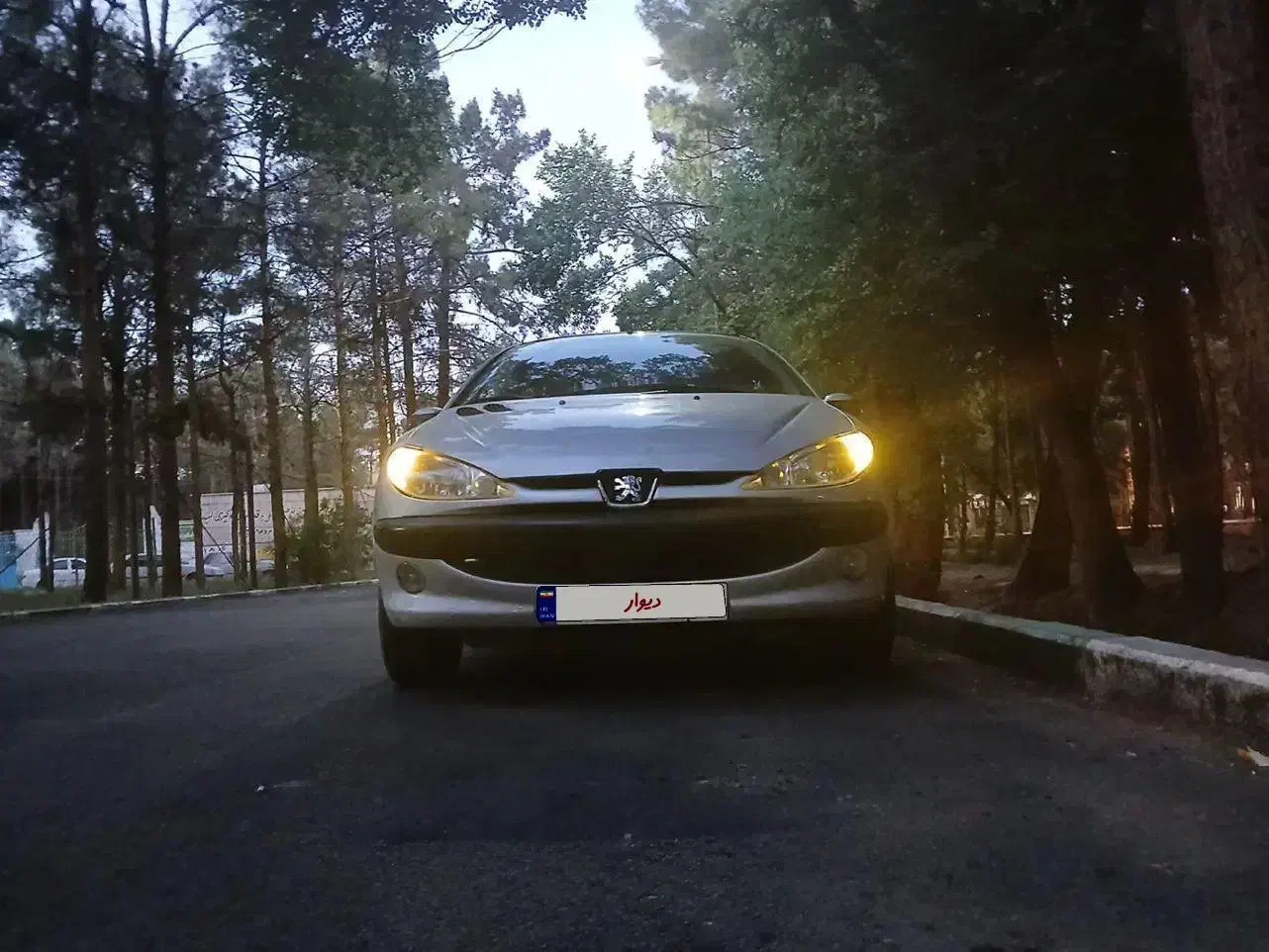 206 sd tu5|خودرو سواری و وانت|ساوه, |دیوار