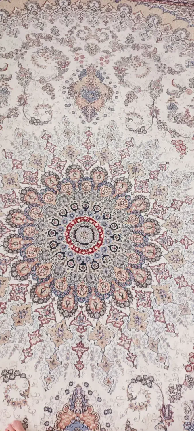 قالی ۱۲متری کرم|فرش|گالیکش, |دیوار