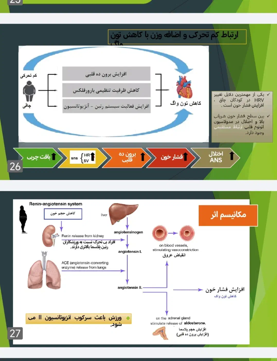 تایپ، ترجمه، پاور پوینت|خدمات رایانه‌ای و موبایل|نجف‌آباد, امام خمینی|دیوار