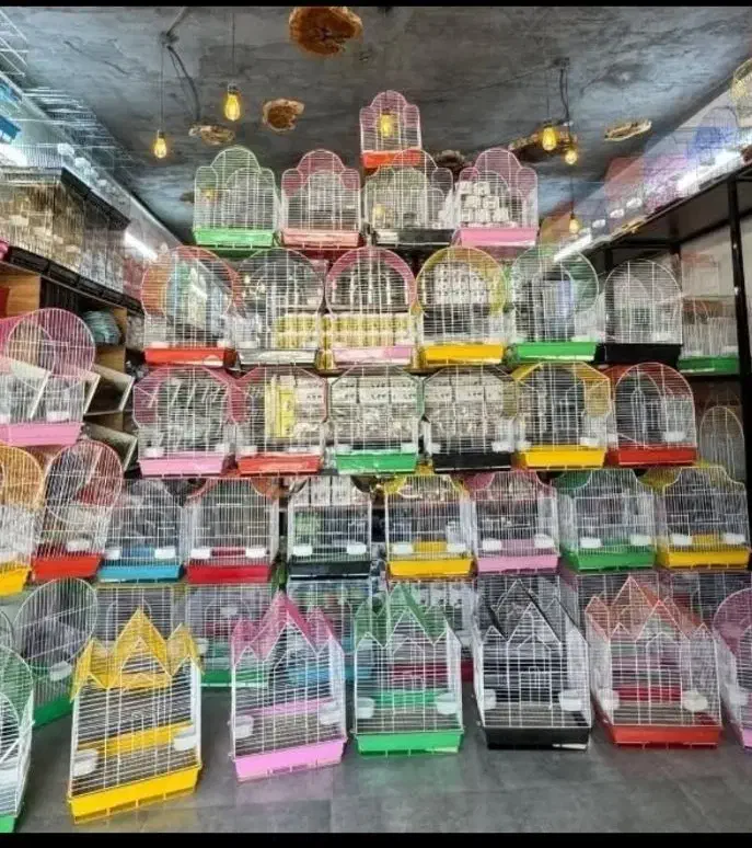 پرندگان زینتی قفسی لانه تاب دانه کف دریاوان ارزن|لوازم جانبی حیوانات|اردبیل, |دیوار