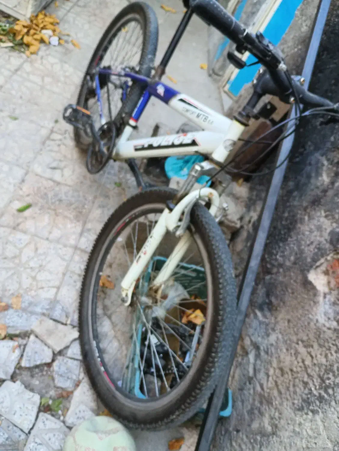 دوچرخه|دوچرخه، اسکیت، اسکوتر|مراغه, |دیوار