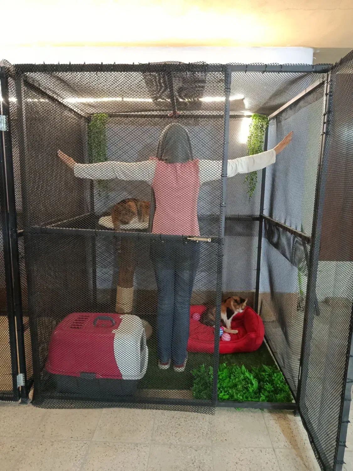 قفس|لوازم جانبی حیوانات|شیراز, زیباشهر|دیوار