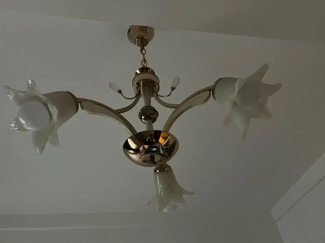 لوستر|لوستر و چراغ آویز|کردکوی, |دیوار