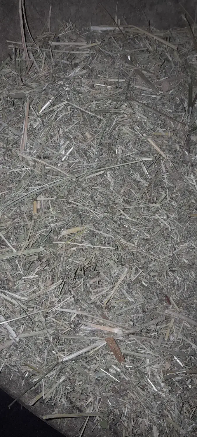 کاه‌یونجه|لوازم جانبی حیوانات|بروجرد, |دیوار