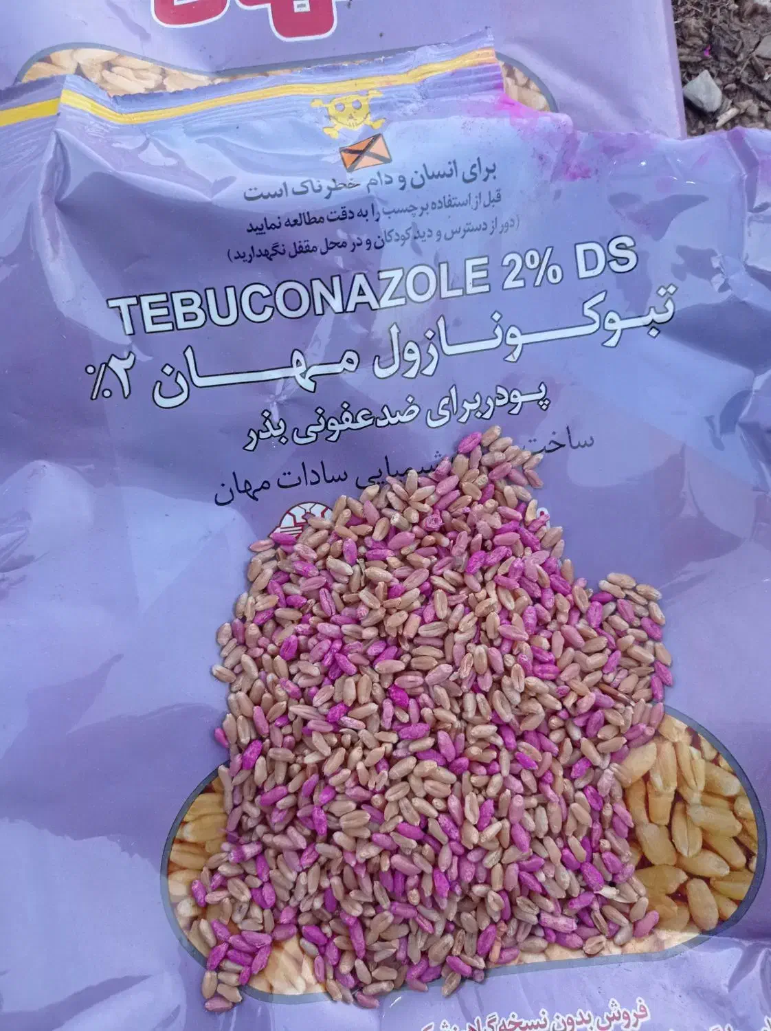 گندم مادری بوجارشده وسم زده پایا|خوردنی و آشامیدنی|کوهدشت, |دیوار