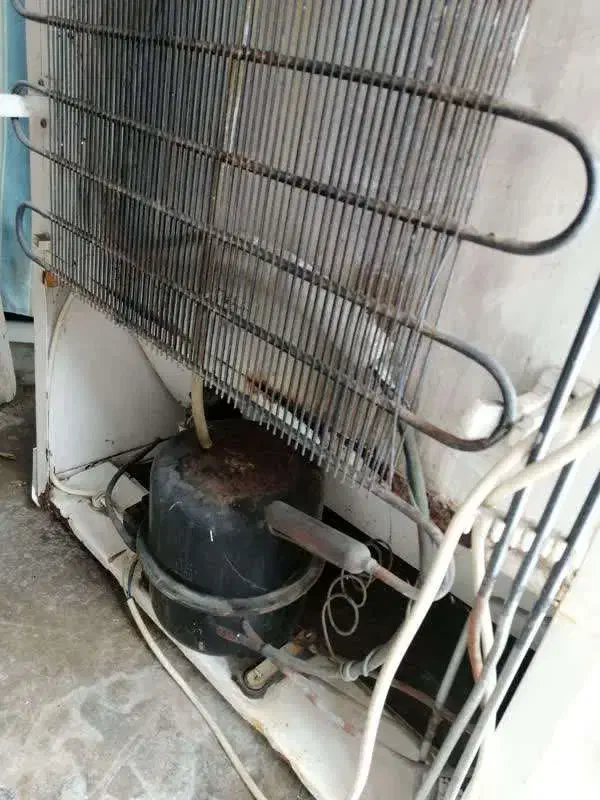 یخچال فریزر سالم و گاز صفحه ای ایتالیایی|یخچال و فریزر|نوشهر, |دیوار