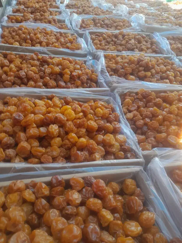 آلوخورشتی درجه یک آذربایجان|خوردنی و آشامیدنی|سرخه, |دیوار