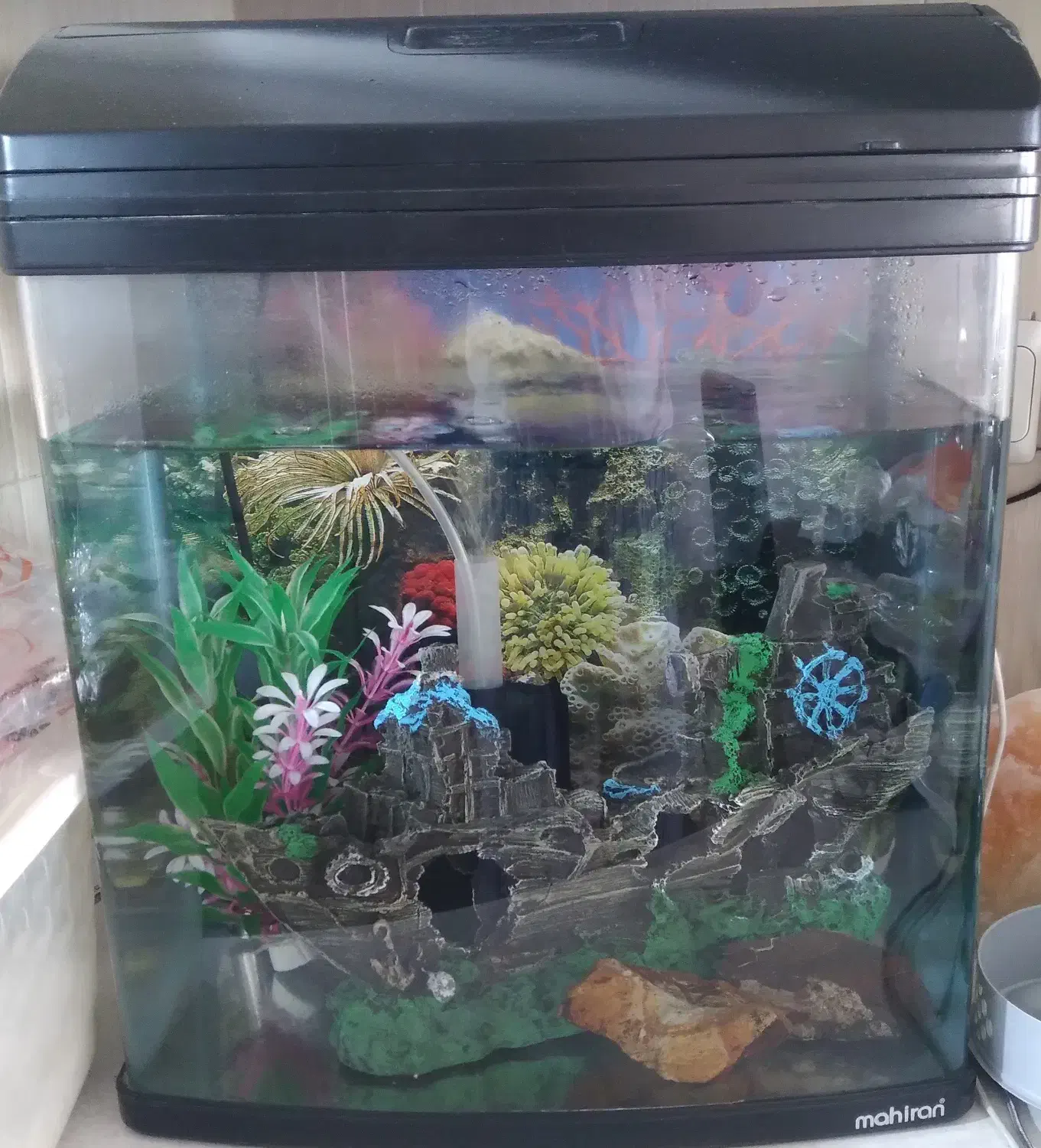 آکواریوم شیشه خم ماهیران با کلیه تجهیزات|ماهی|ری, شهید بهشتی|دیوار