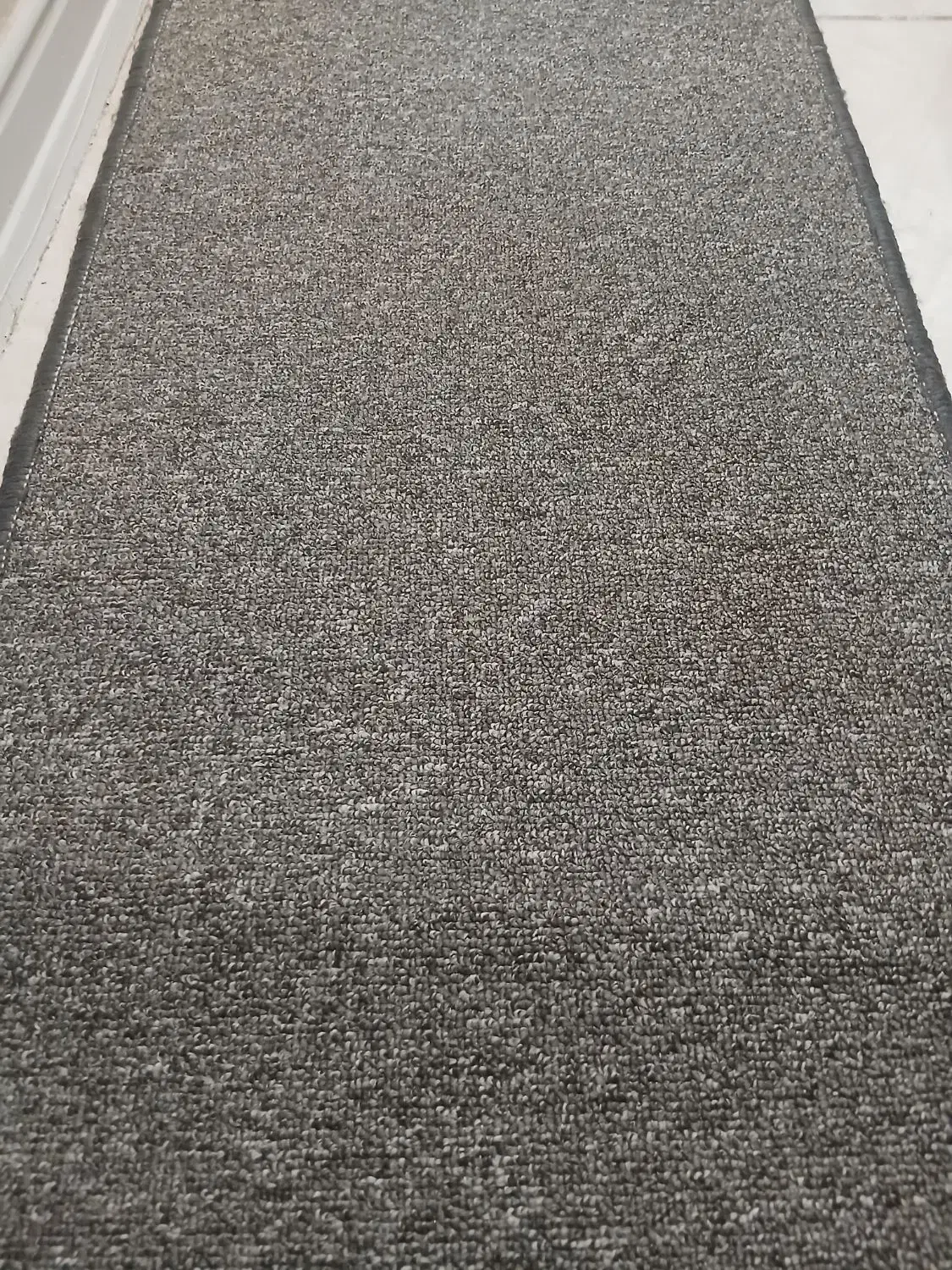 موکت|موکت|اهواز, سپیدار|دیوار