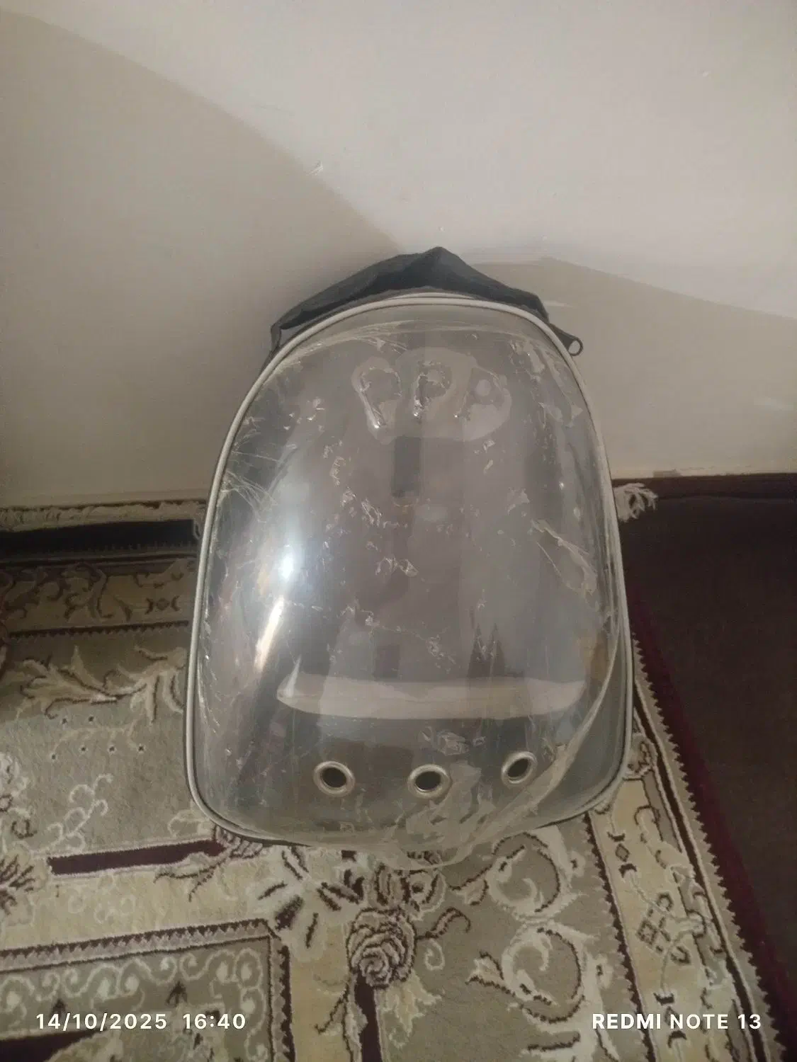 کوله پشتی حیوان|لوازم جانبی حیوانات|کرج, شهرک امیر المومنین|دیوار