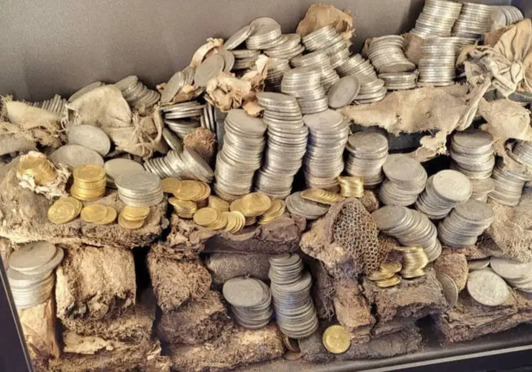 شریک و سرمایه گذار|فعالیت داوطلبانه تحقیقاتی|شهرکرد, |دیوار