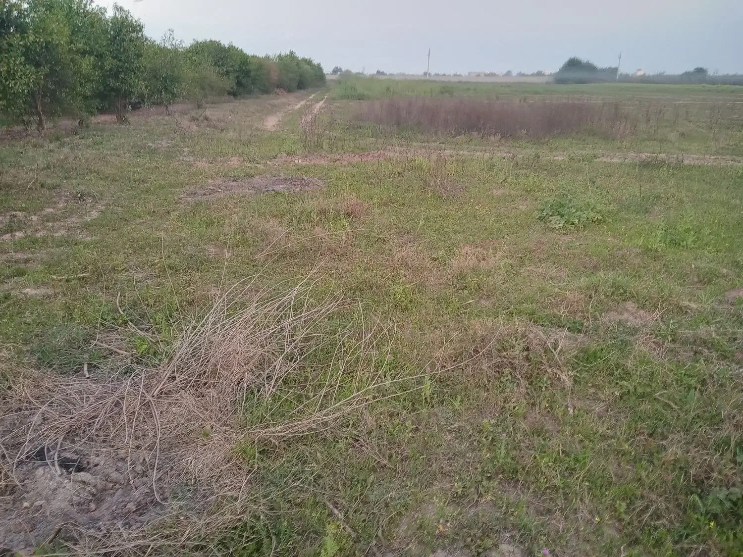 فروش چهار هزار متر زمین سر اتوبان|فروش دفتر صنعتی، کشاورزی، تجاری|دزفول, |دیوار