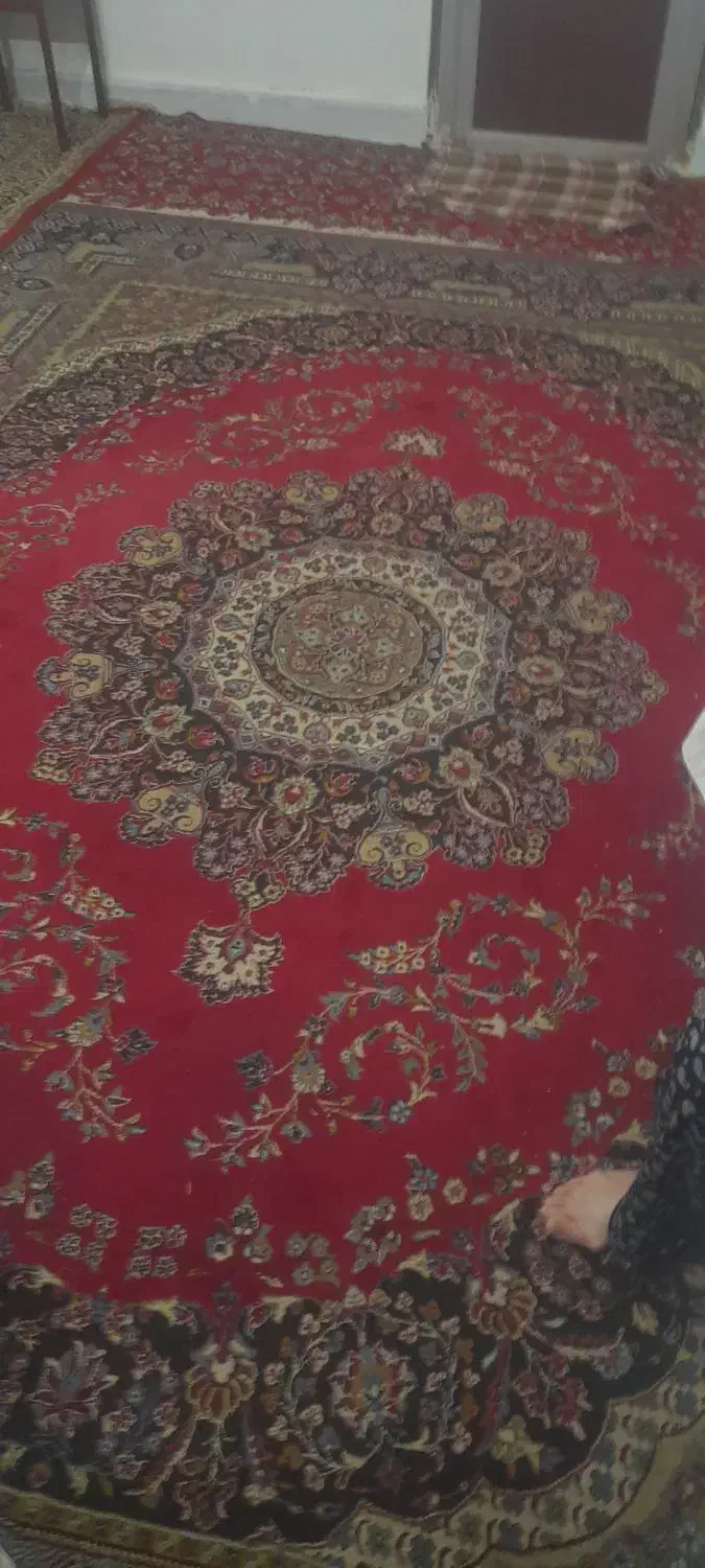 قالی|فرش|مشهد, کوشش|دیوار