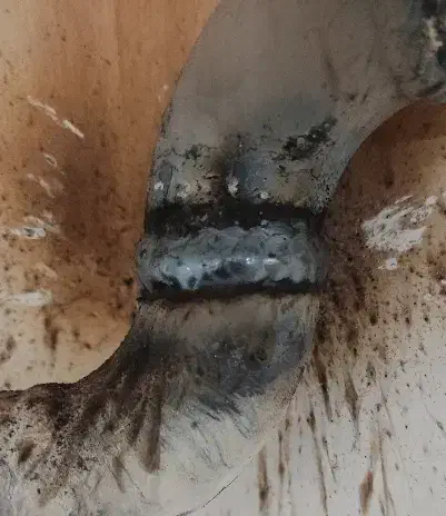 شاگرد باهوش|استخدام معماری، عمران و ساختمانی|زابل, |دیوار