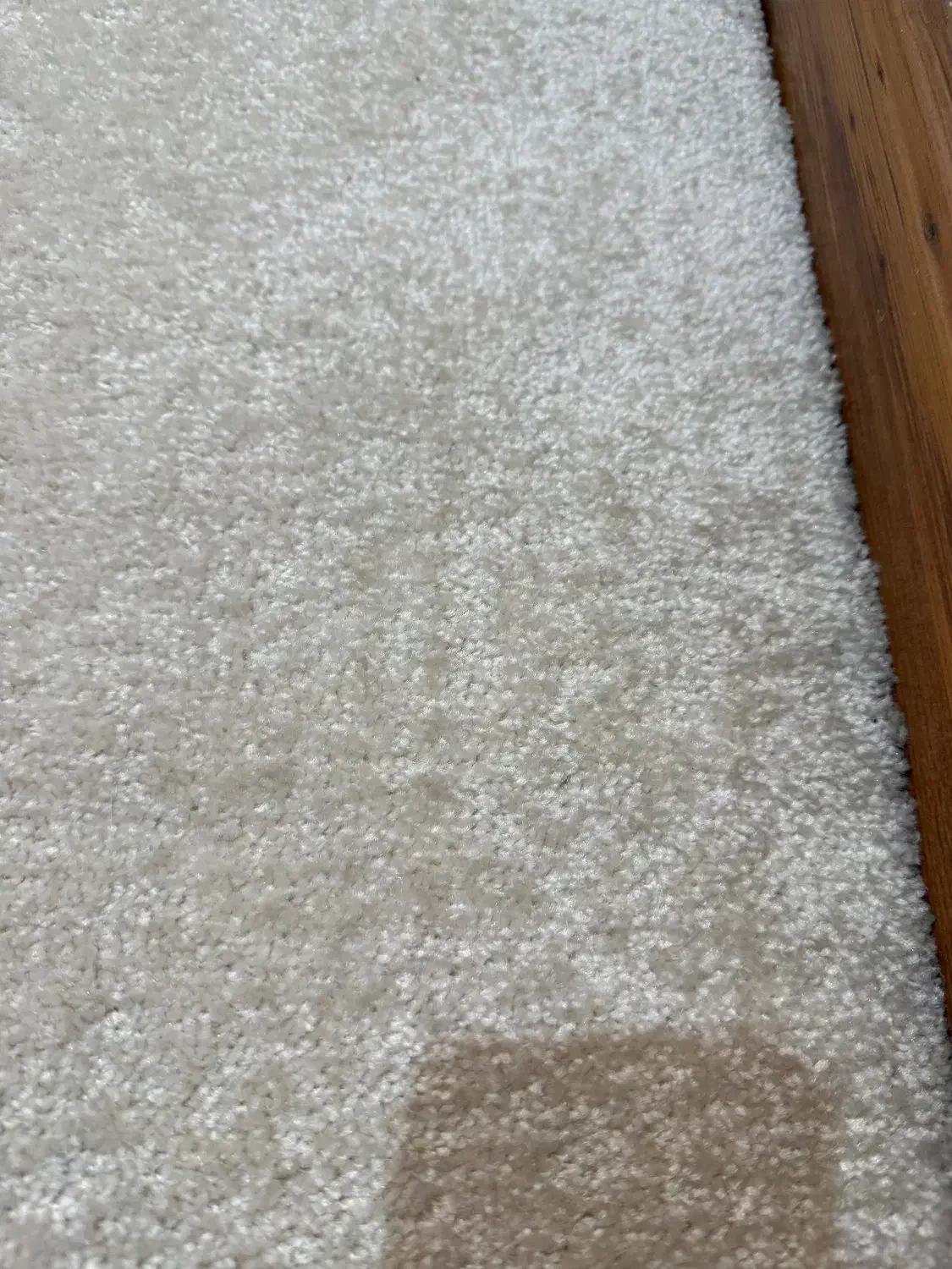 موکت سفید صدفی|موکت|تهران, فرمانیه|دیوار