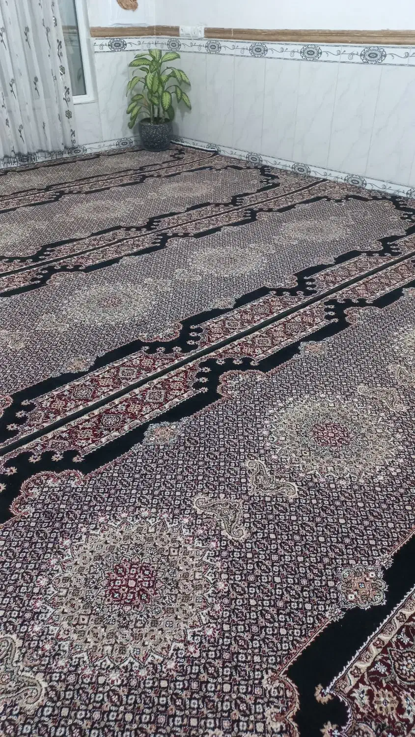 سلام|فرش|ثلاث باباجانی, |دیوار