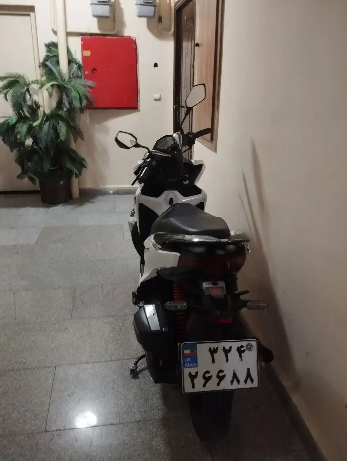 موتور طرح کلیک هانی|موتورسیکلت|پرند, فاز ۵|دیوار