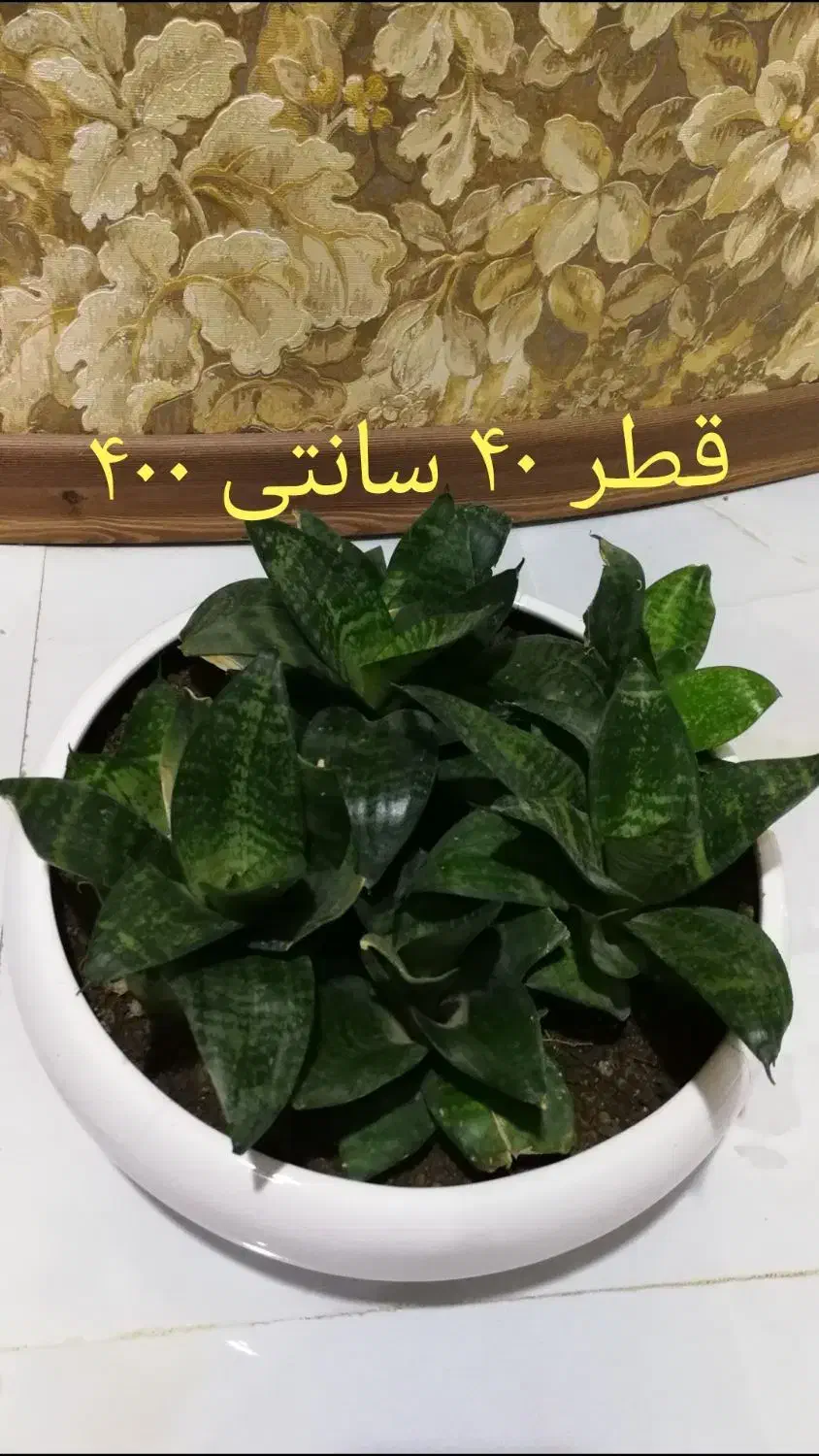 گلهای طبیعی ومصنوعی|گل مصنوعی|اصفهان, عسگریه|دیوار