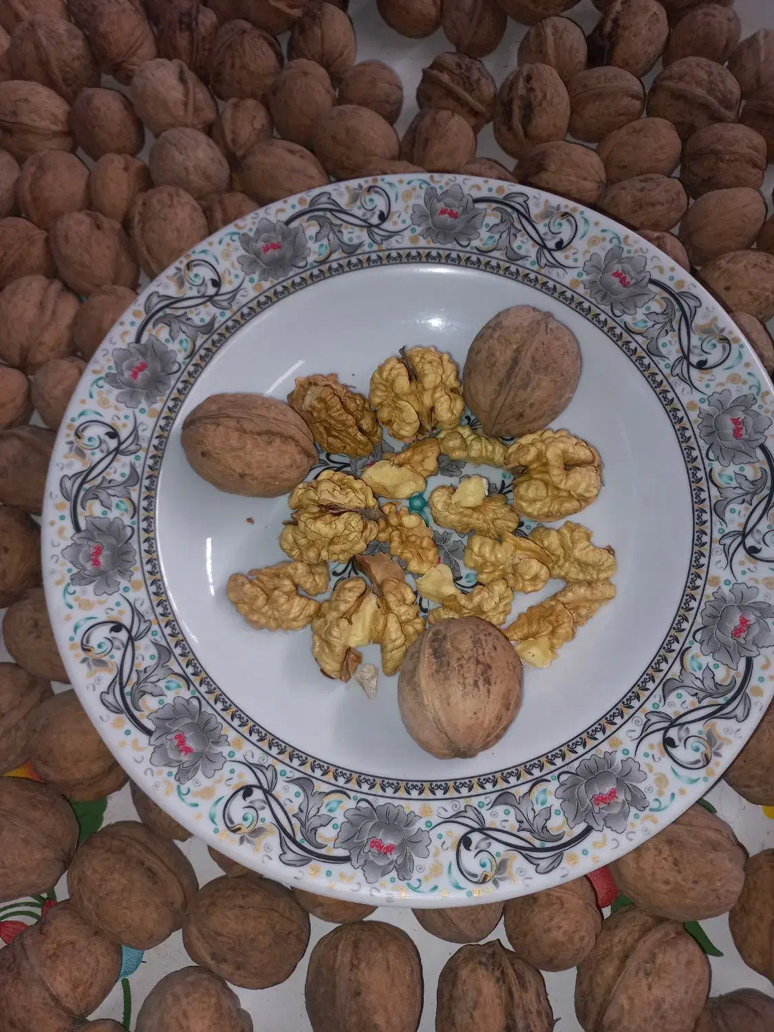 گردو مغز سفید اصل بدلان|خوردنی و آشامیدنی|خوی, |دیوار