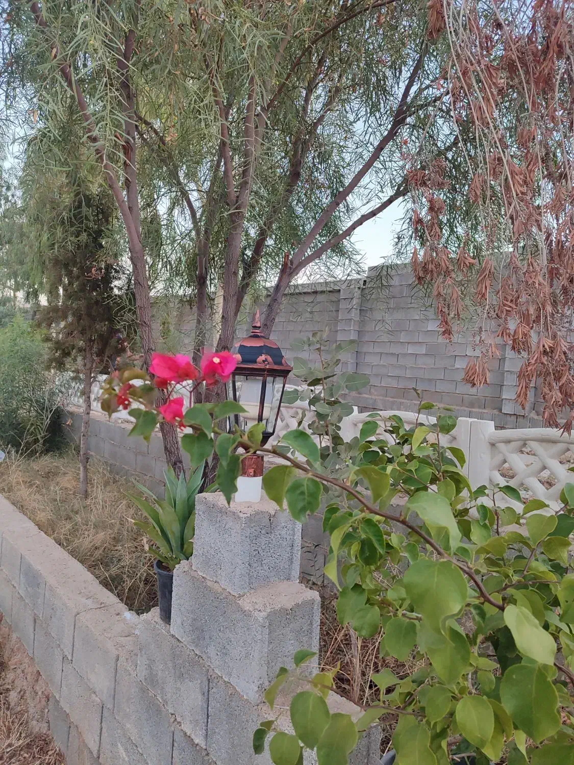 باغ شهری نشاط|فروش خانه و ویلا|شیراز, بید زرد|دیوار