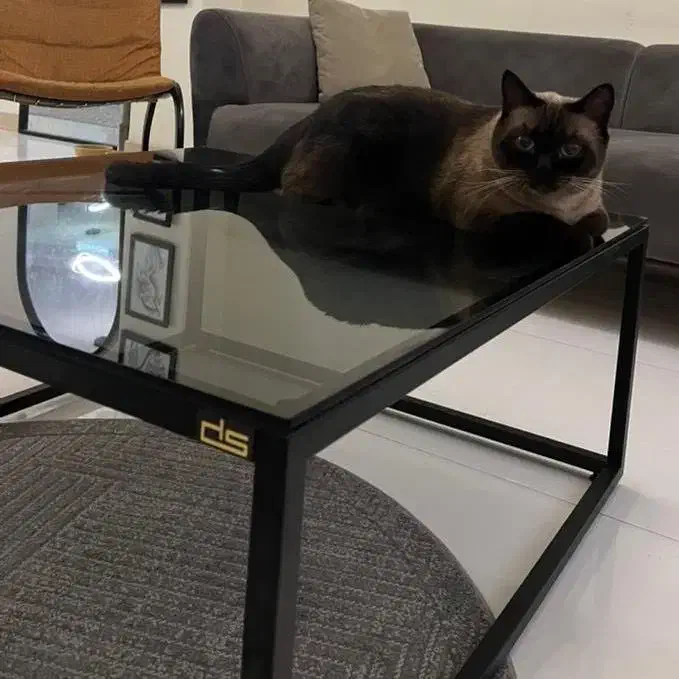 تولیدکننده میز جلو مبلی(تمام عکس ها از خود کارهست)|مبلمان خانگی و میز عسلی|کرج, محمد آباد|دیوار