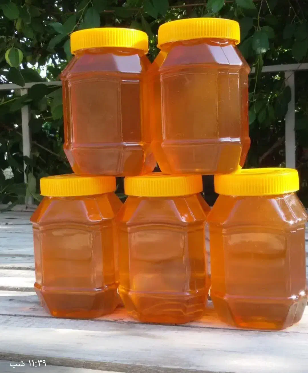 فروش عسل|عمدهفروشی|سیسخت, |دیوار