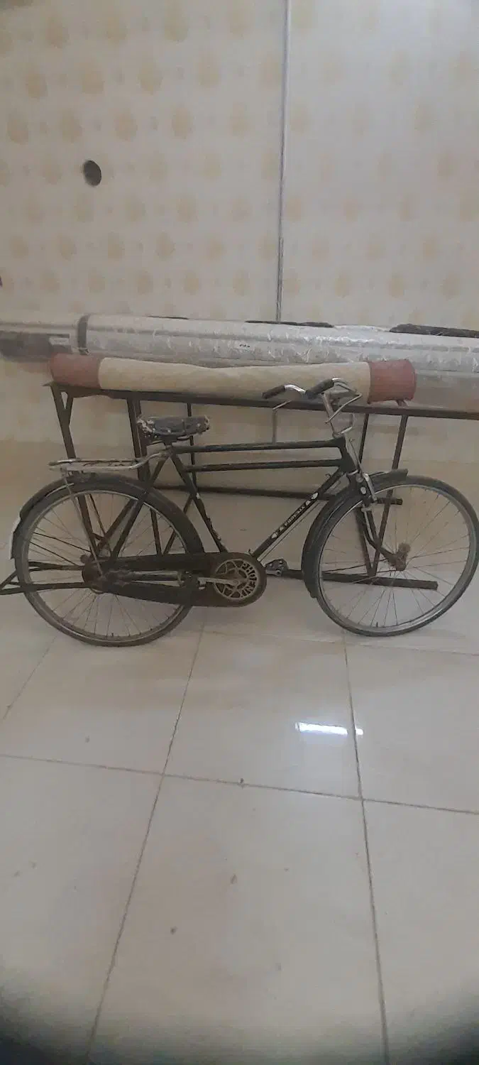 دوچرخه چینی|دوچرخه، اسکیت، اسکوتر|کاشمر, |دیوار