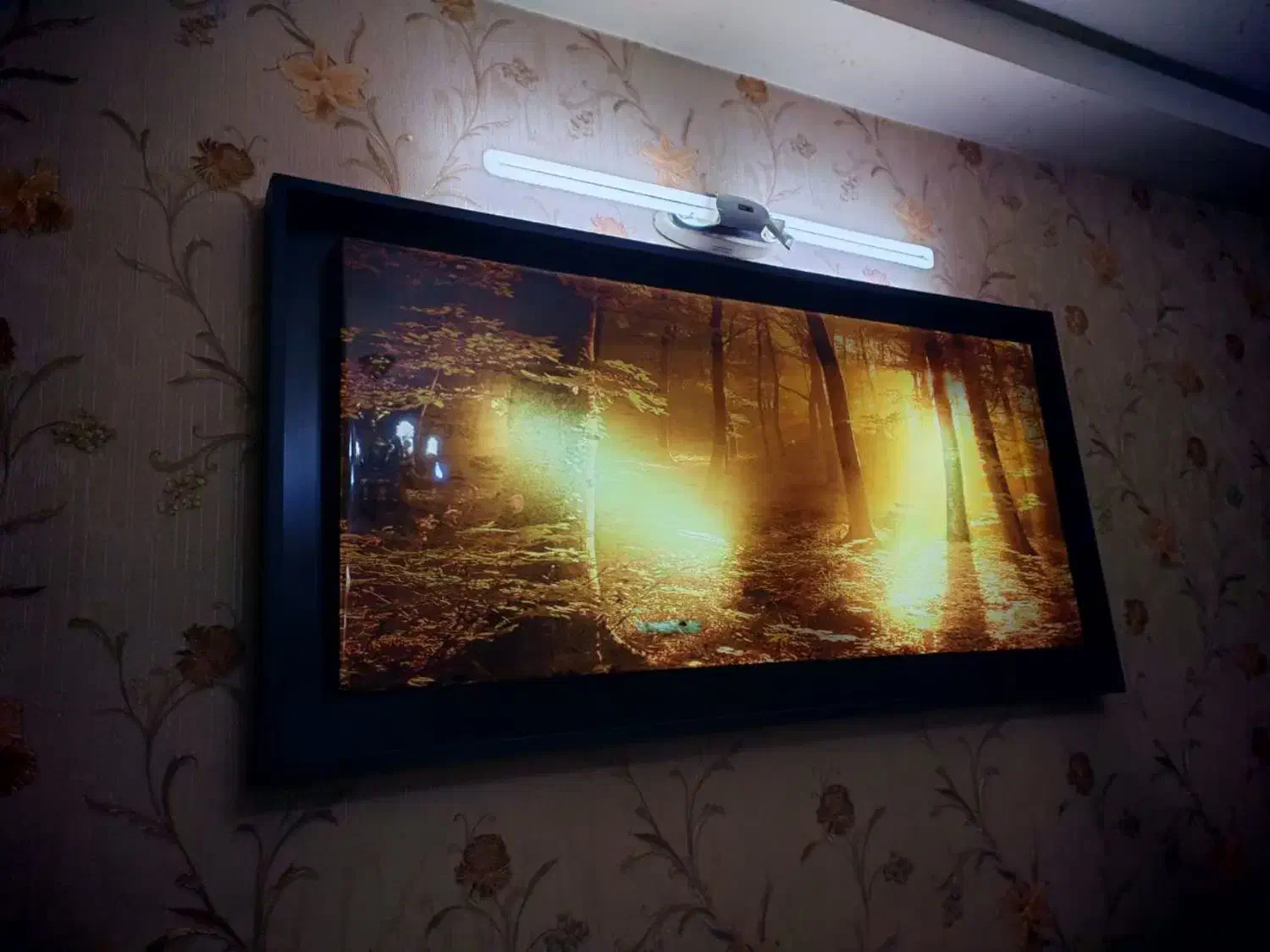 تابلو نوری جنگلی|تابلو، نقاشی، عکس|اردبیل, |دیوار