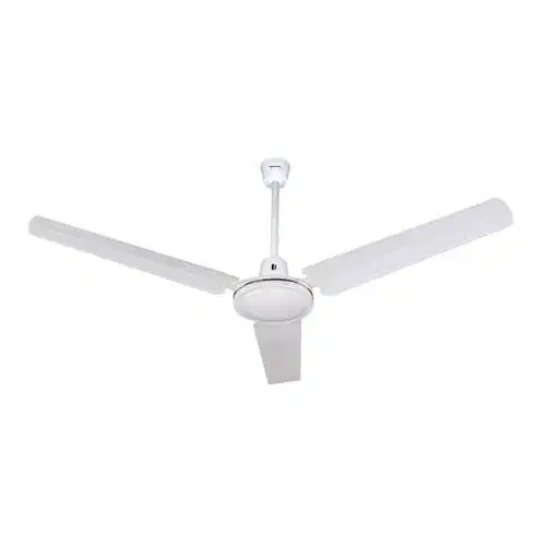 پنکه سقفی|پنکه و تصفیه‌کنندهٔ هوا|زاهدان, |دیوار