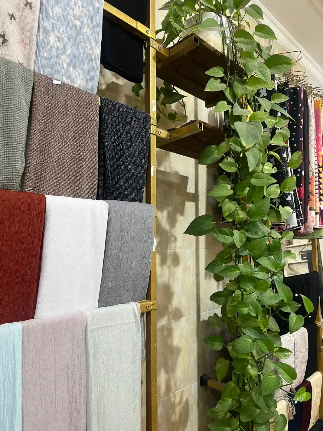 واگذاری گالری سارُاستایل|لباس|ماهان, |دیوار