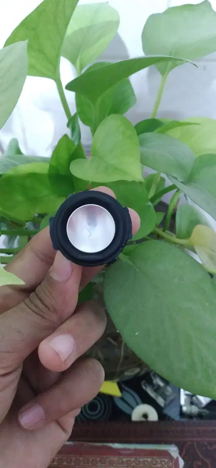 باند|سیستم صوتی خانگی|کاشمر, |دیوار