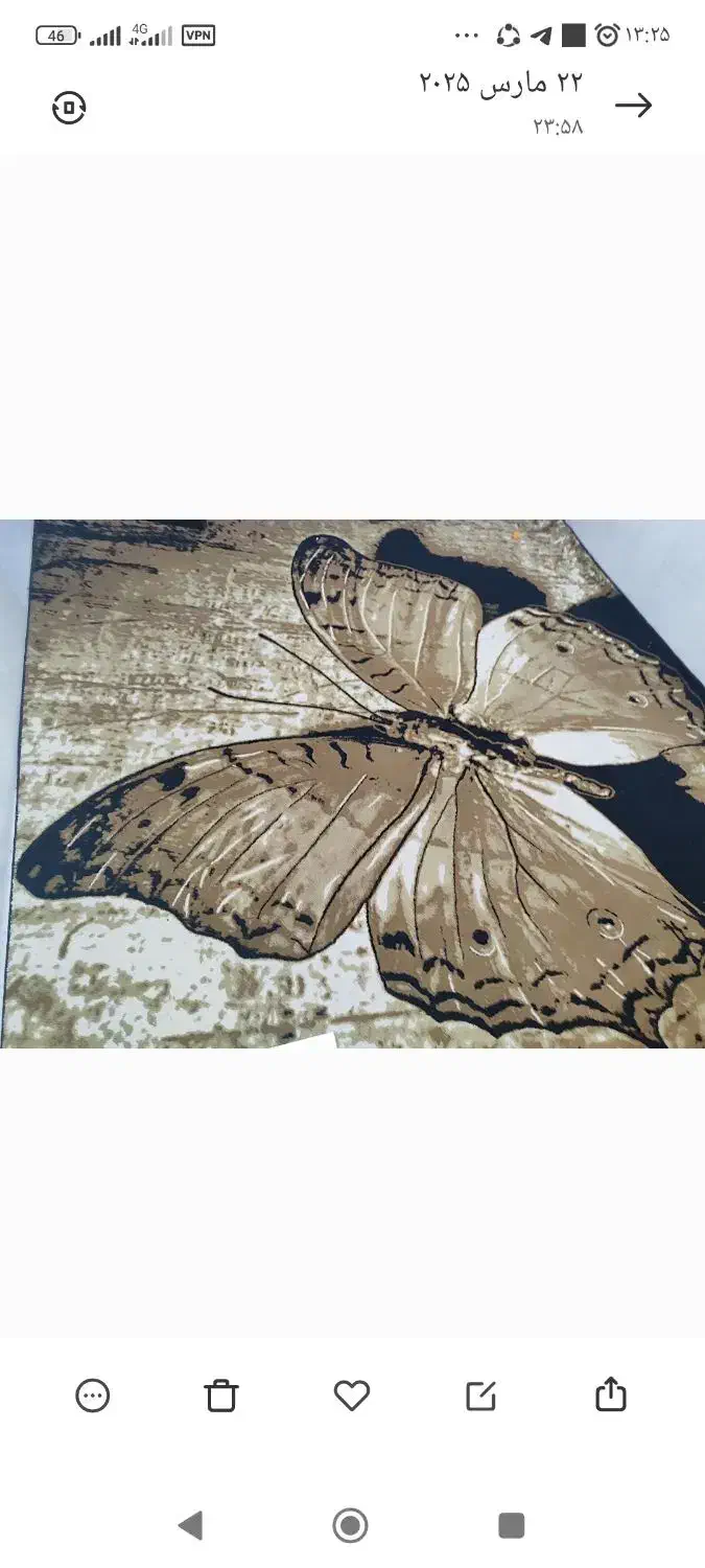 گلیم فرش ۱۲متری|گلیم، جاجیم، گبه|بندرعباس, |دیوار