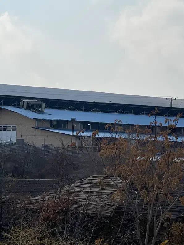 استخدام نیرو|استخدام صنعتی، فنی، مهندسی|بیرجند, |دیوار