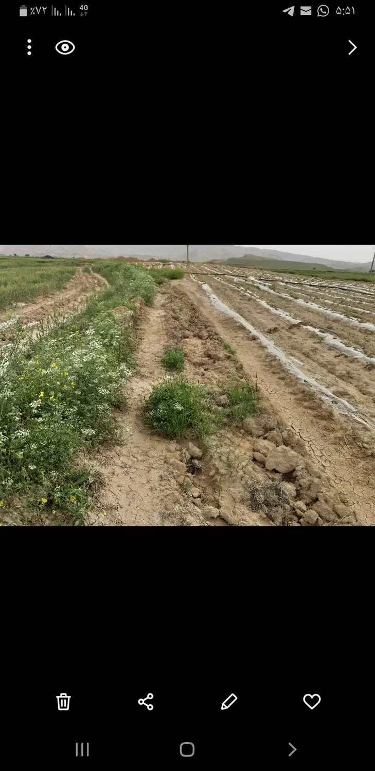 زمین کشاورزی اجاره ای|فروش دفتر صنعتی، کشاورزی، تجاری|بهبهان, |دیوار