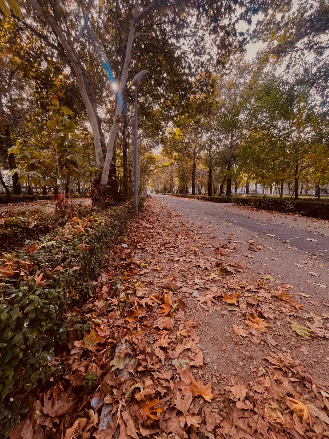 عکاسی پاییزه ویژه ابان ماه (با چاپ عکس ها و ویدیو)|خدمات پذیرایی، مراسم|بجنورد, |دیوار