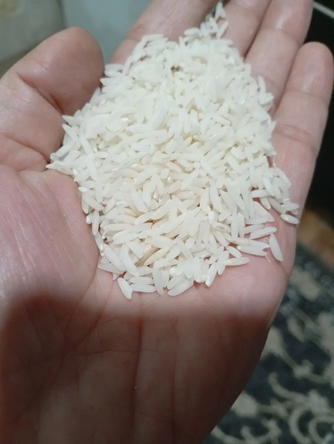 برنج هاشمی ۲۸۰|خوردنی و آشامیدنی|لاهیجان, گلستان|دیوار