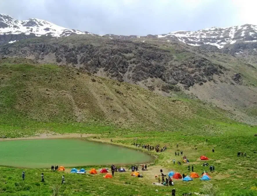 عسل طبیعی صد درصد تضمینی|خوردنی و آشامیدنی|شیراز, میدان قائم|دیوار
