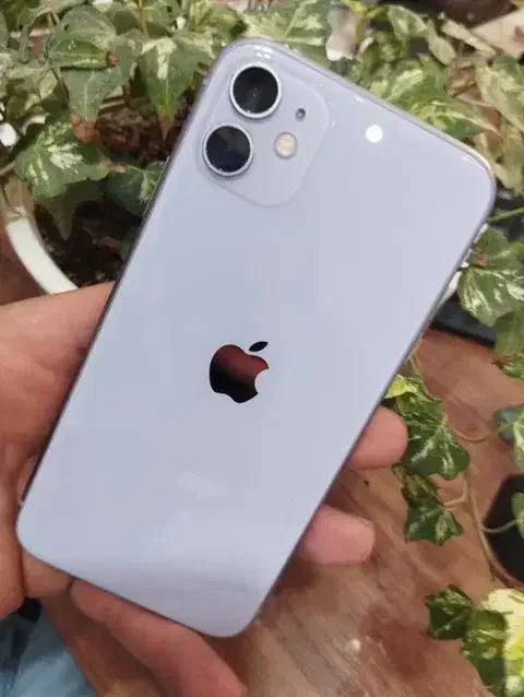 iphon11normal|موبایل|نظرآباد, نظرآباد|دیوار