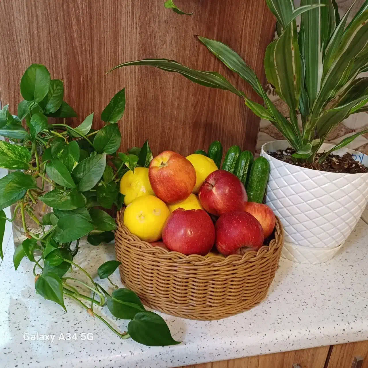 سبد دستبافت|صنایع دستی و سایر لوازم تزئینی|میبد, |دیوار