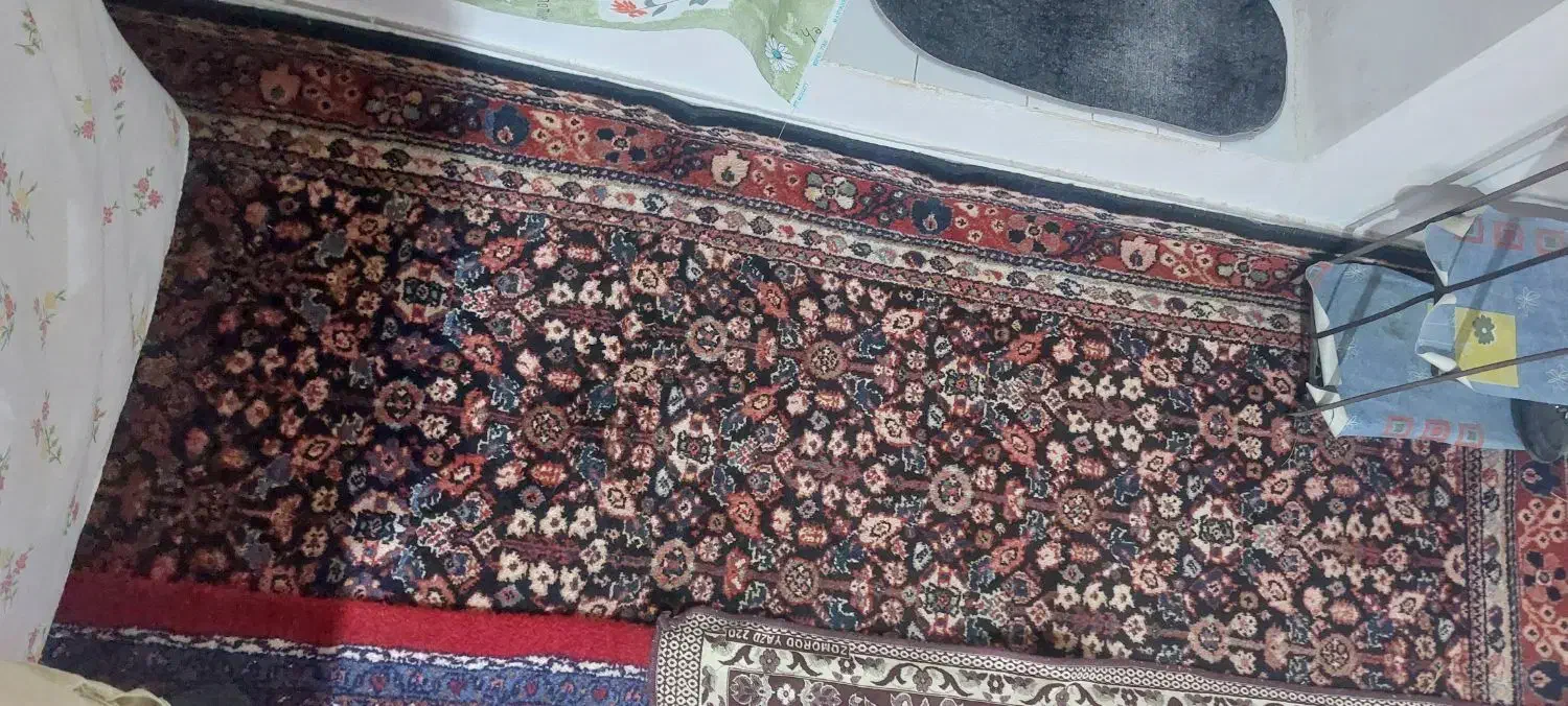 فرش دستبافت محلی|فرش|تهران, حر|دیوار