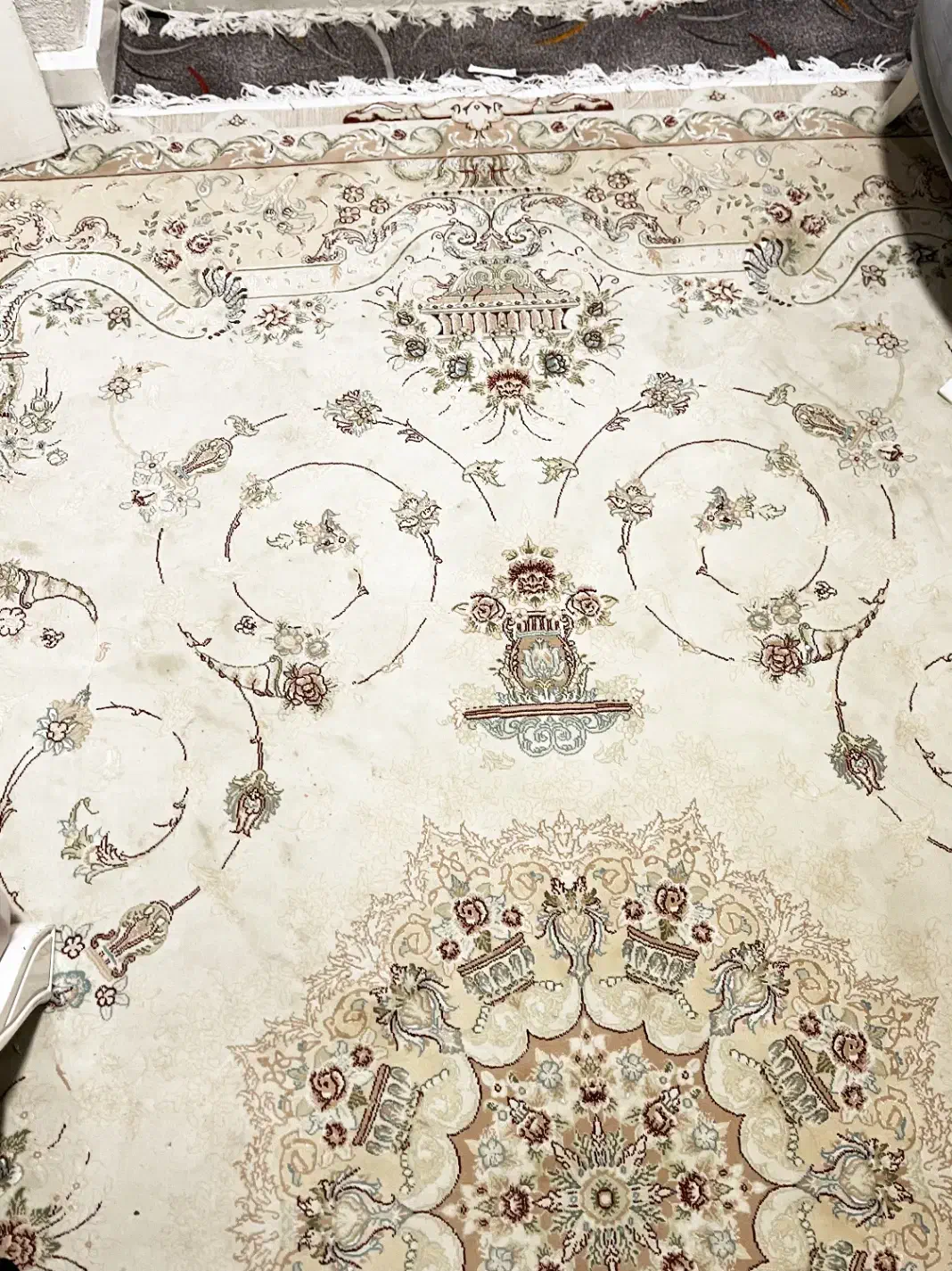 فرش ۹متری|فرش|بوشهر, |دیوار