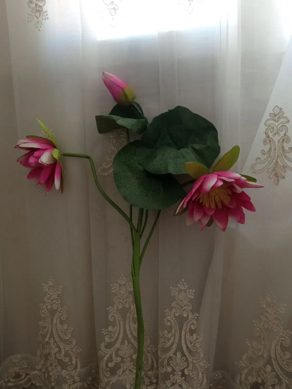 گل مصنوعی|گل مصنوعی|زنجان, |دیوار