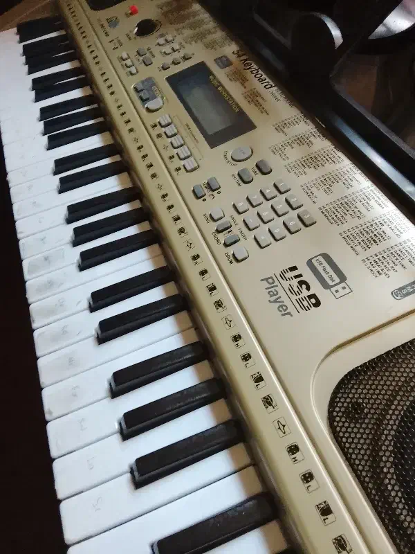 میدی کیبورد|پیانو، کیبورد، آکاردئون|تبریز, |دیوار