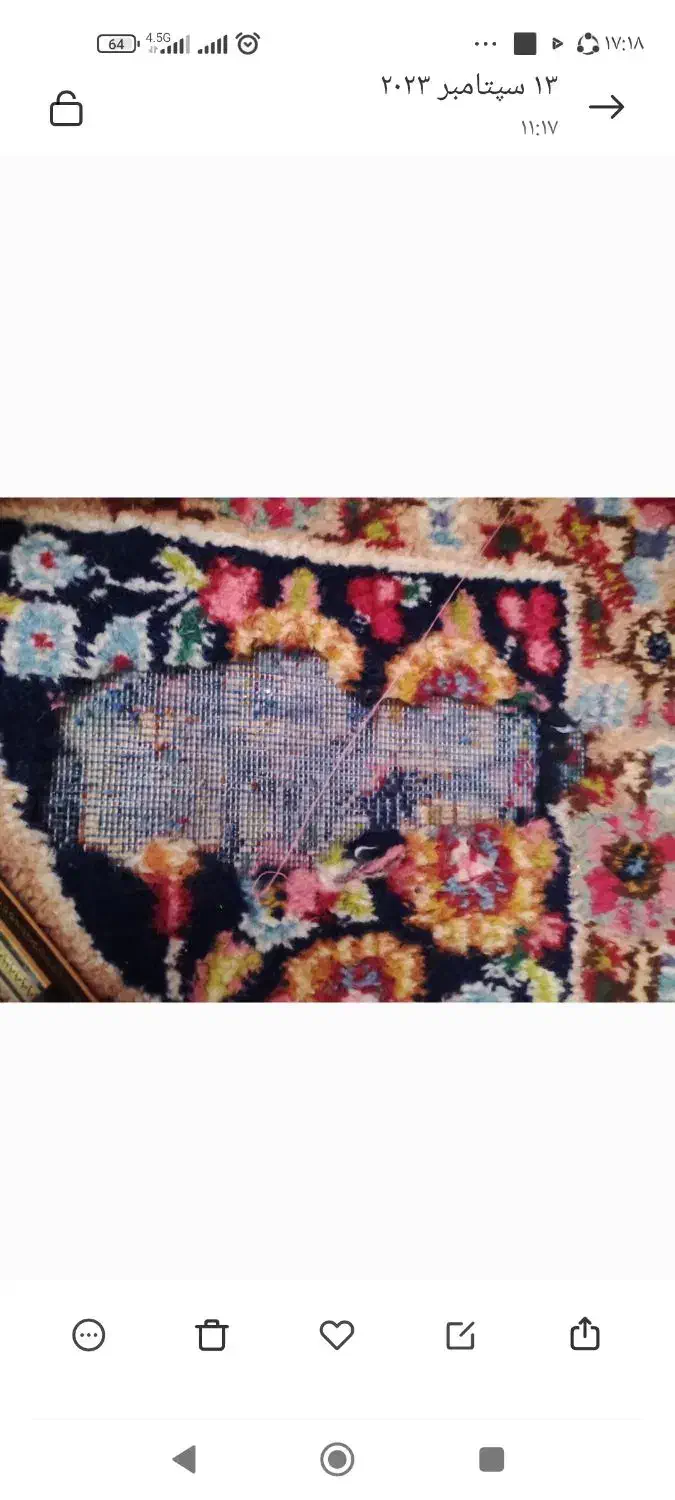 فرش دستباف|فرش|رفسنجان, |دیوار