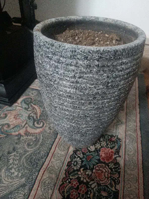 گلدان|گل و گیاه طبیعی|اصفهان, اشکاوند|دیوار